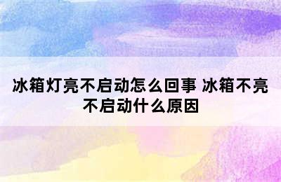 冰箱灯亮不启动怎么回事 冰箱不亮不启动什么原因